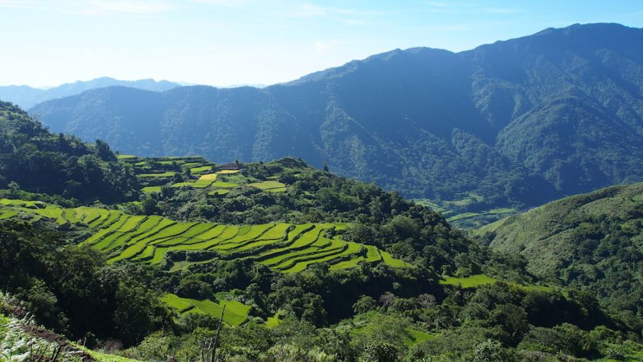 Sfeerafbeelding kalinga rice terraces