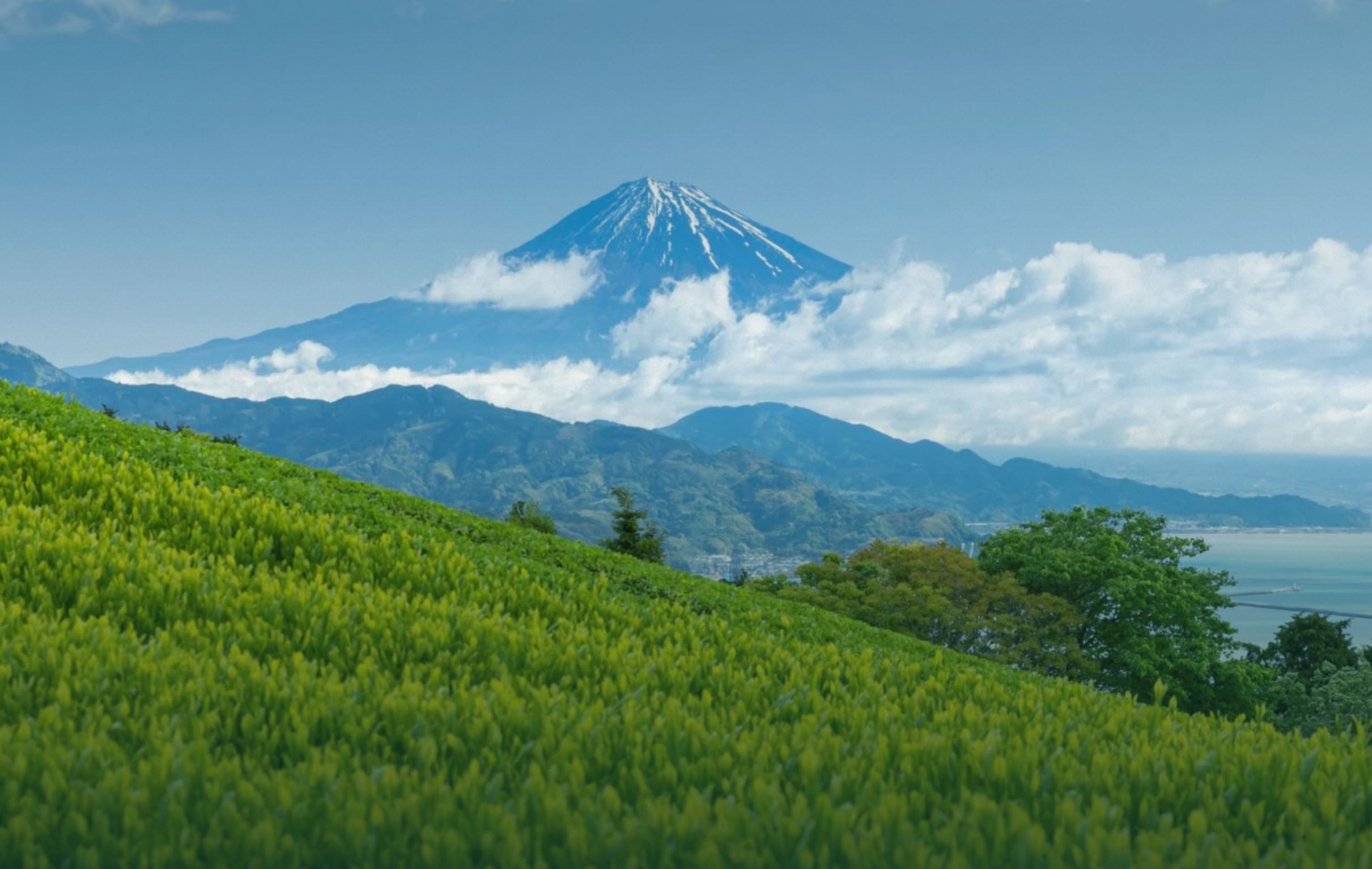 Sfeerafbeelding Suruga%20Japan%20theeregio%20Dimsum%20Reizen